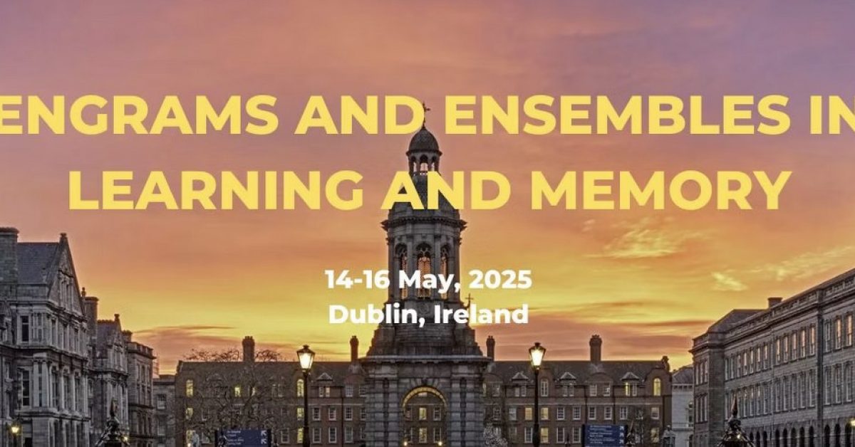 Annotation 2025-06-10 172059