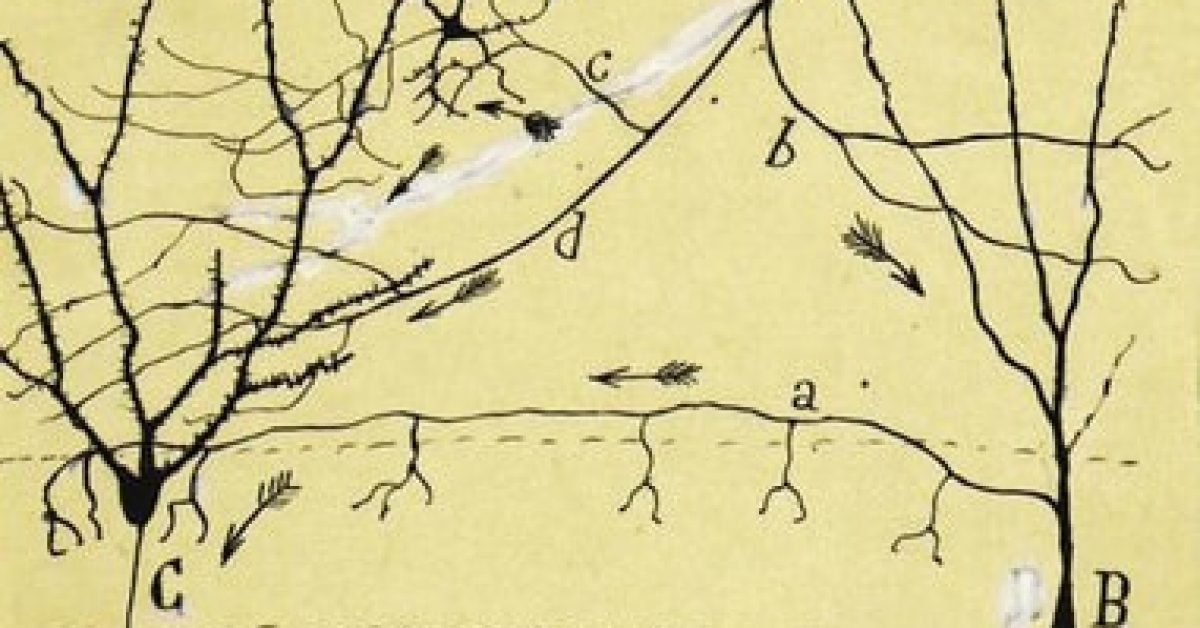 Annotation 2025-06-10 193728