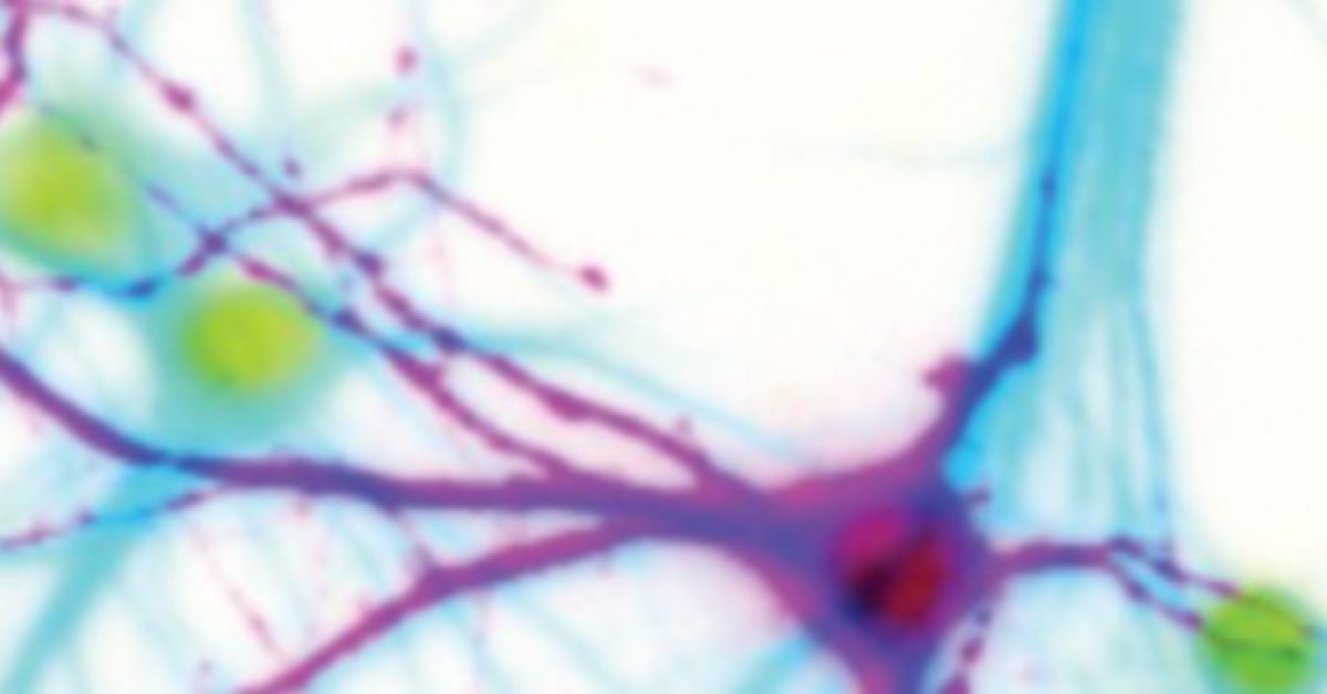 Source: https://nwg-info.de/