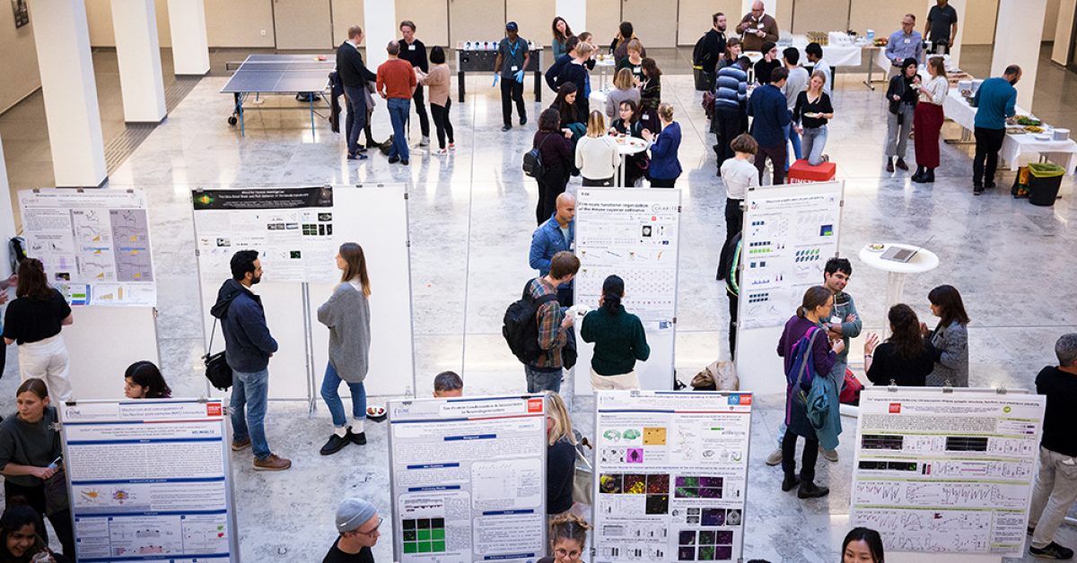 Poster_Session_BNM23