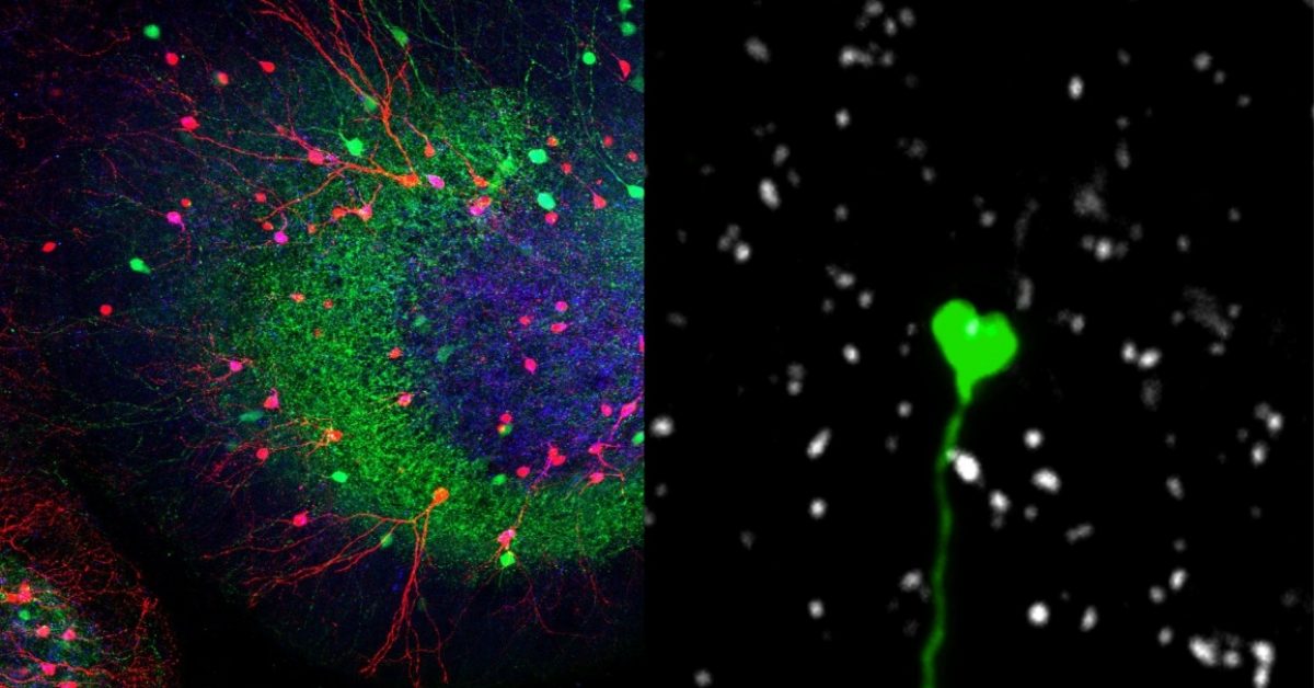 XmasPictureContext_Winners